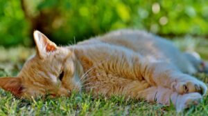 コピペにならない方法を実践するための効果的なテクニックは？