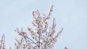 ポスターの書き方を小学生向けにわかりやすく解説するには？