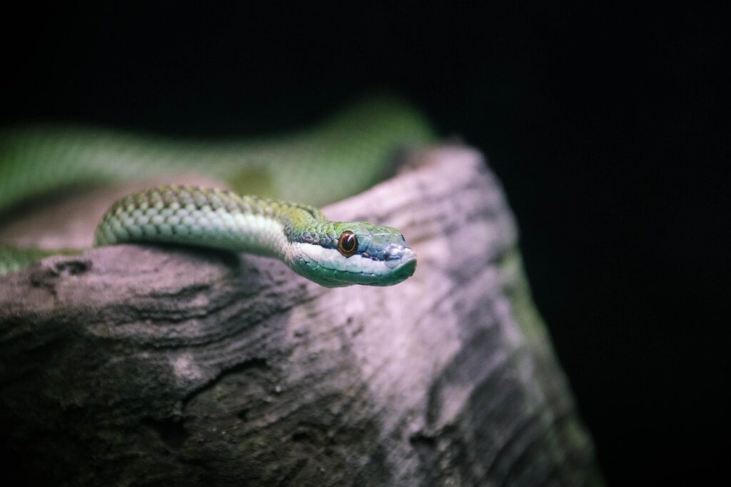 SDGsをテーマにした小学生の自由研究のアイデアは？