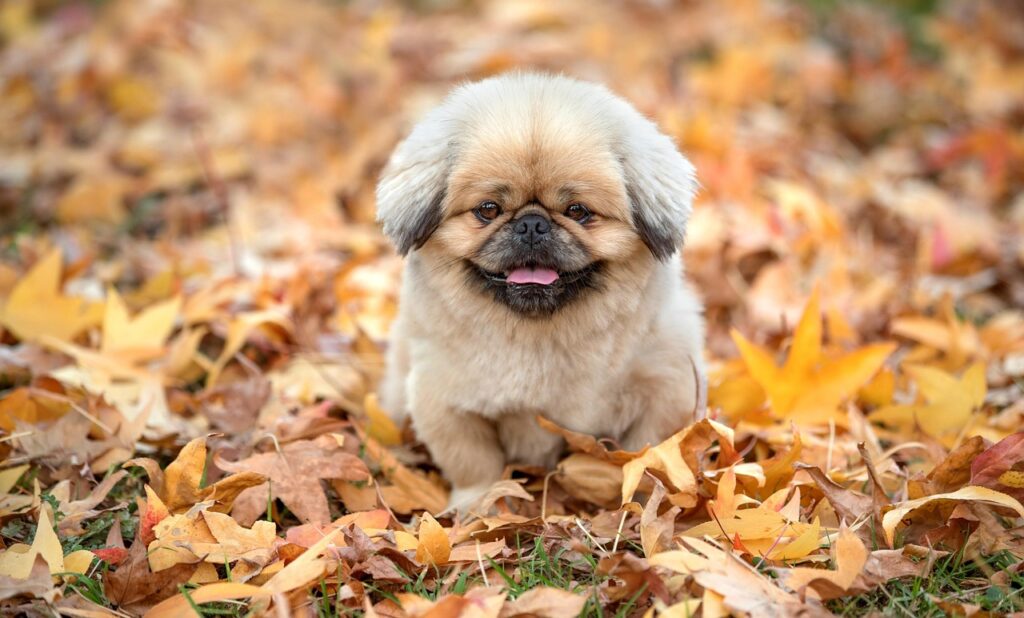 やる気が出ない時に試すべき簡単な対処法は？