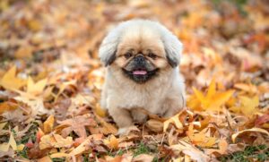 やる気が出ない時に試すべき簡単な対処法は？