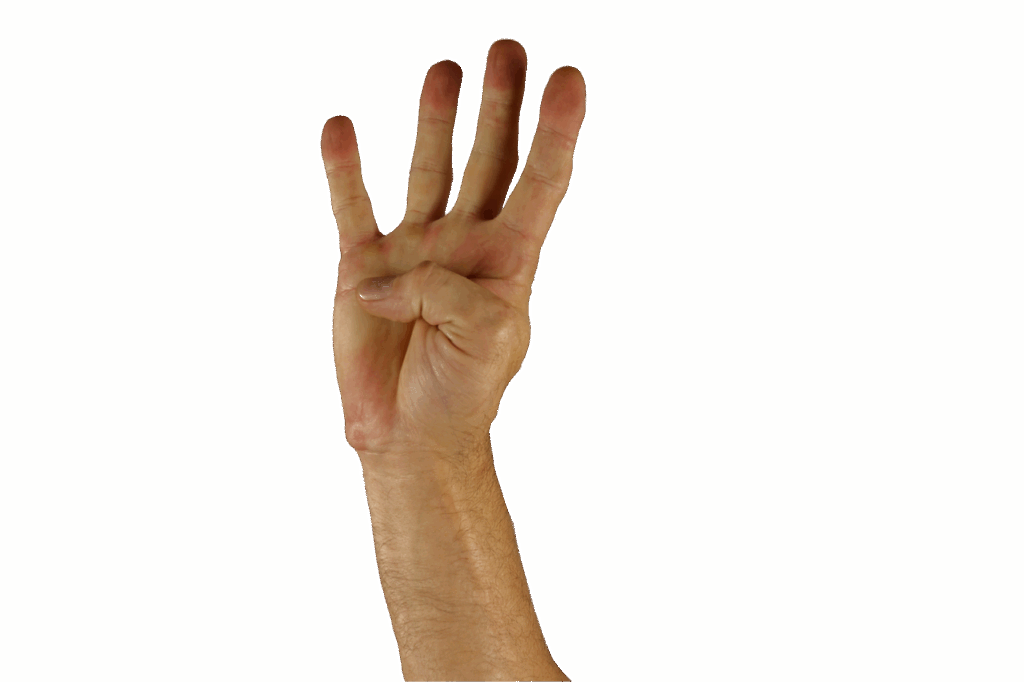 手話で覚える簡単な挨拶にはどんなものがある？