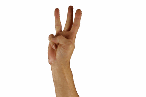 手話で覚える簡単な挨拶は何ですか？