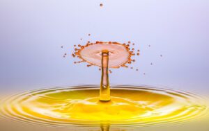 小学生が楽しめる自由研究の水の表面張力実験とは？