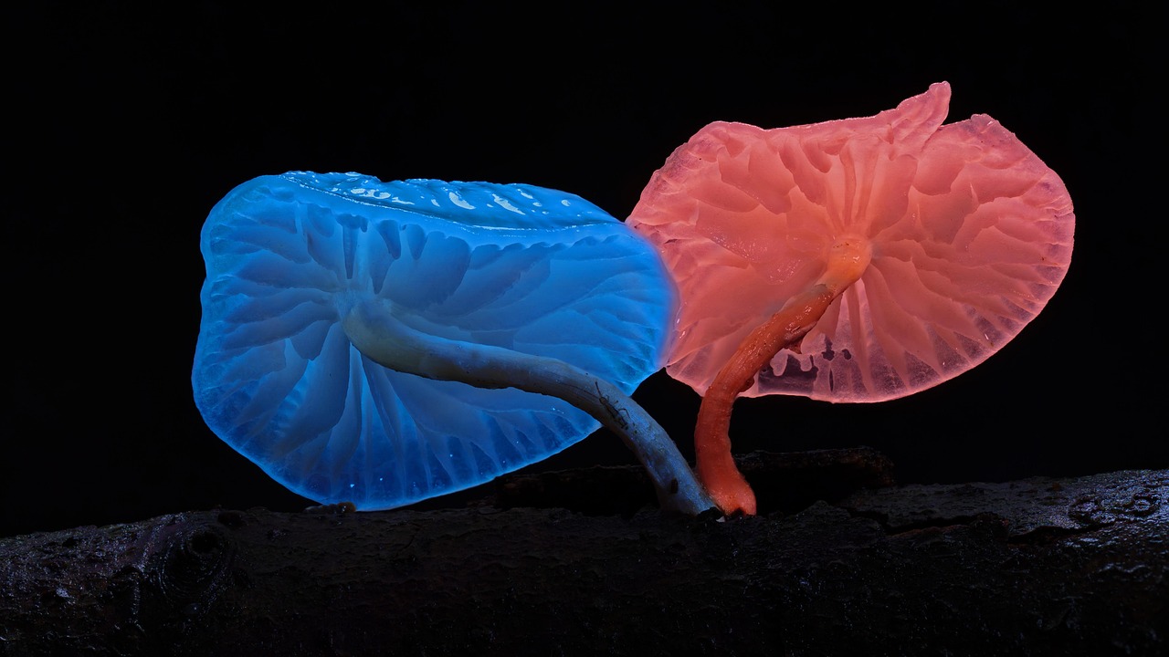 自由研究で小学生が楽しめる光るスライムの実験方法は？