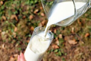自由研究で小学生が牛乳を飲む効果を研究する方法は？