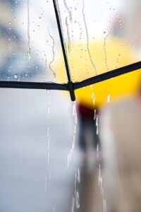 自由研究を小学生が雨の日でもできるアイデアは？