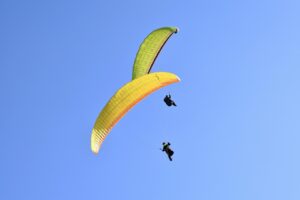自由研究を小学生高学年が行う際の考察の書き方は？