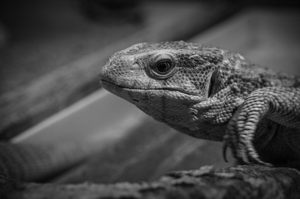自由研究の期間を短縮するための効率的な方法は？