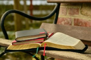 自由研究の進め方は初心者でも簡単にできる？
