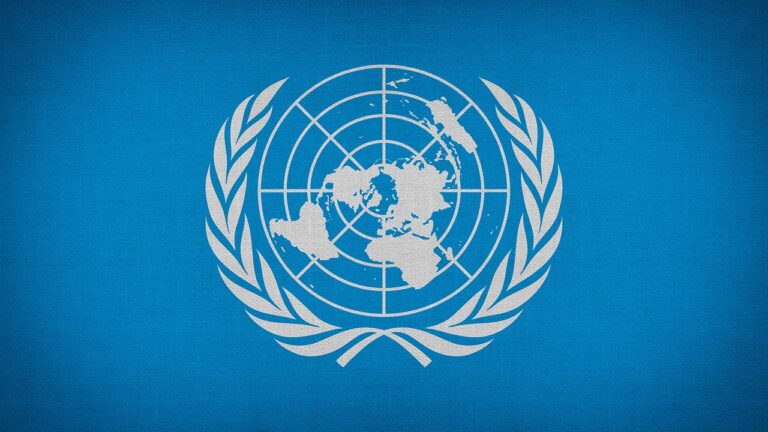 「世界の国旗を使った自由研究のアイデアは？」