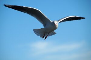 自由研究のテーマはどれが人気？