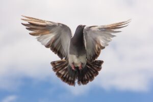 自由研究でできることは何？