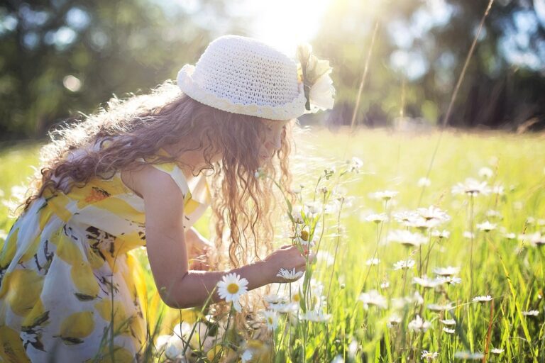 自由研究のアイデアはこれで決まり！提案を知りたい？