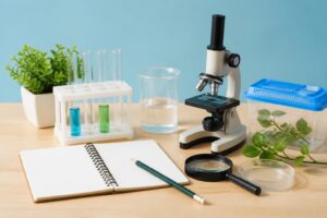 自由研究のタイトル付け方で効果的なポイントは？