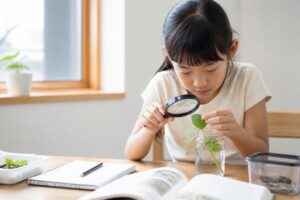 自由研究テーマ一覧でおすすめの食べ物は？