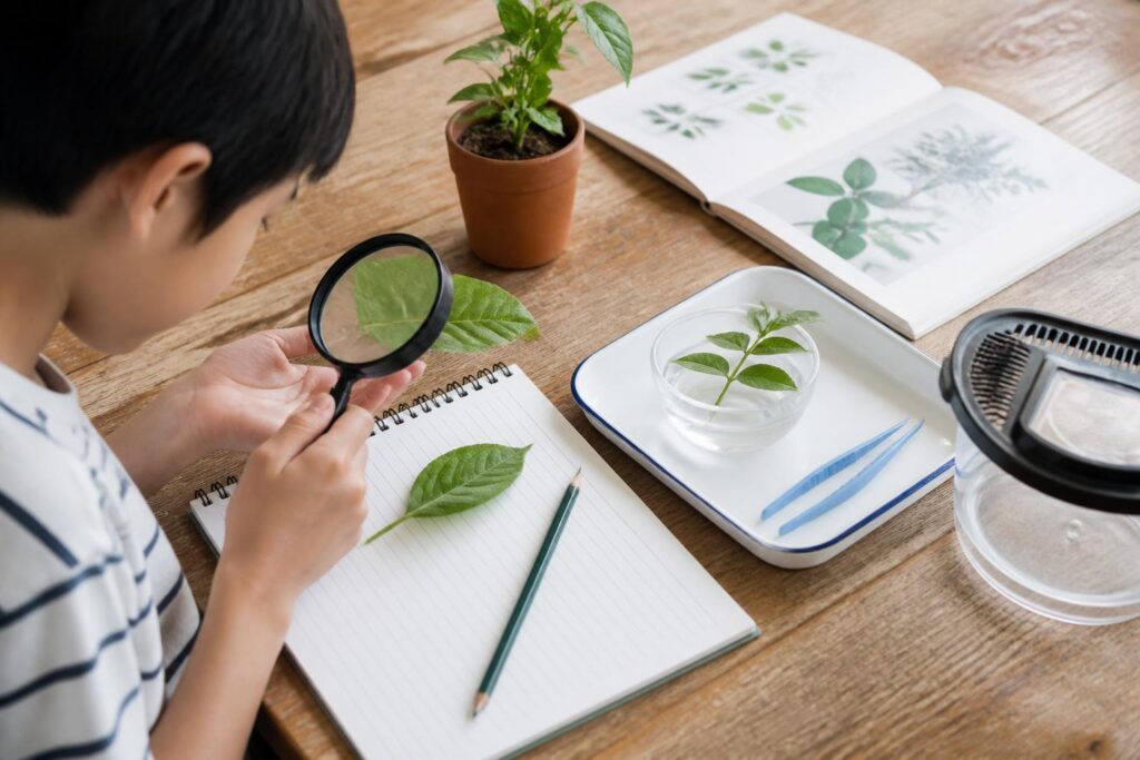 自由研究の質問まとめはどこにある？