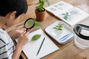 夏休みのあるあるとは？あなたも共感する体験が満載！