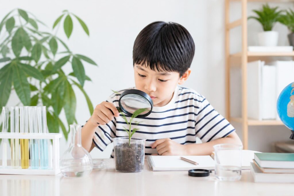 自由研究のルールを確認するために知っておくべきことは？