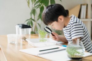 夏休みに楽しめる面白いアクティビティは？