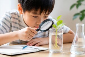 自由研究の具体例一覧はどこにある？