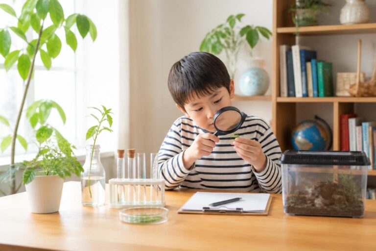 自由研究を小学生が進める方法はこれで決まり？