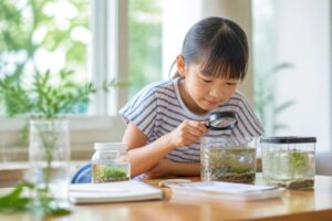 自由研究で体験したことのまとめ方は？