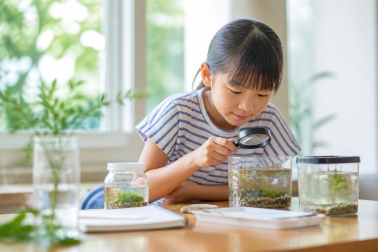 自由研究のテーマはどう選ぶ？小学生3年生向けのアイデア？