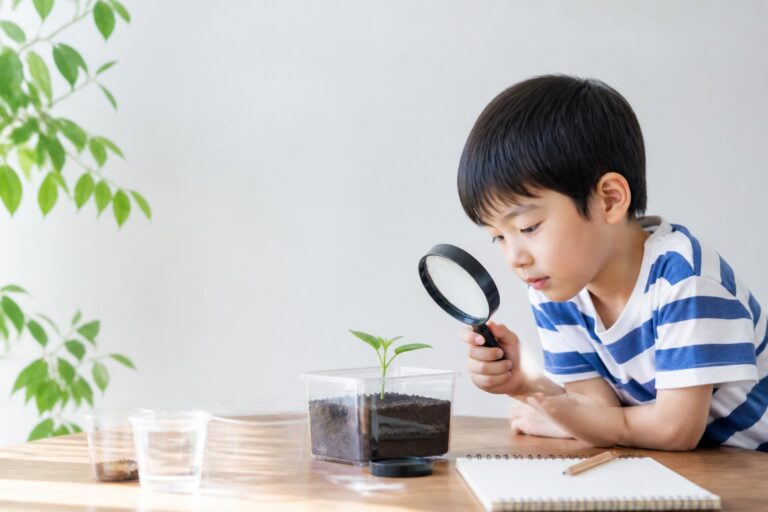小学4年生の自由研究テーマは何がある？