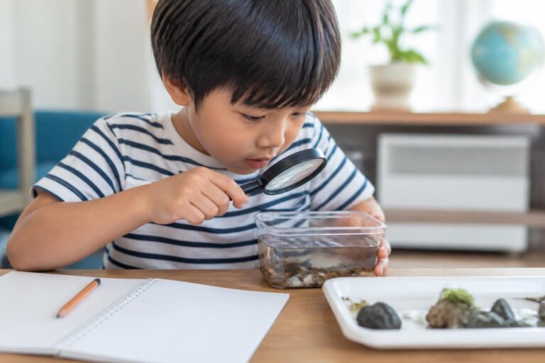 小学生の自由研究で植物の種類を調べる方法は？