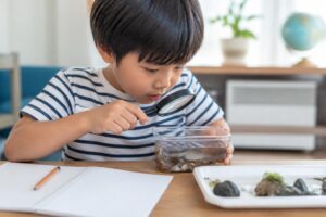 自由研究の発表原稿の作り方は？小学生向けに内容や構成を解説