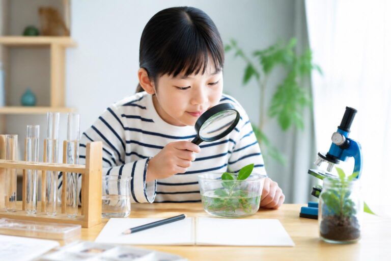 小学生の自由研究で地域について何を調べる？